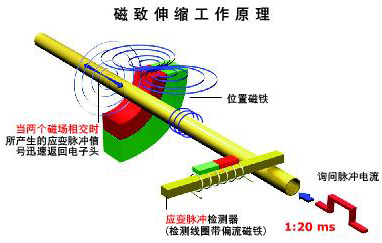 防腐型磁致伸縮液位計(jì)工作原理圖